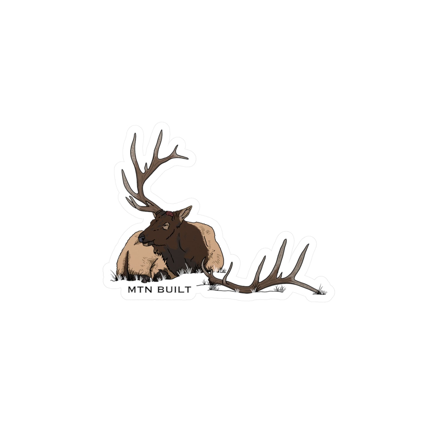 Bull Elk Shed Vinyl Decal | MTN BUILT sticker