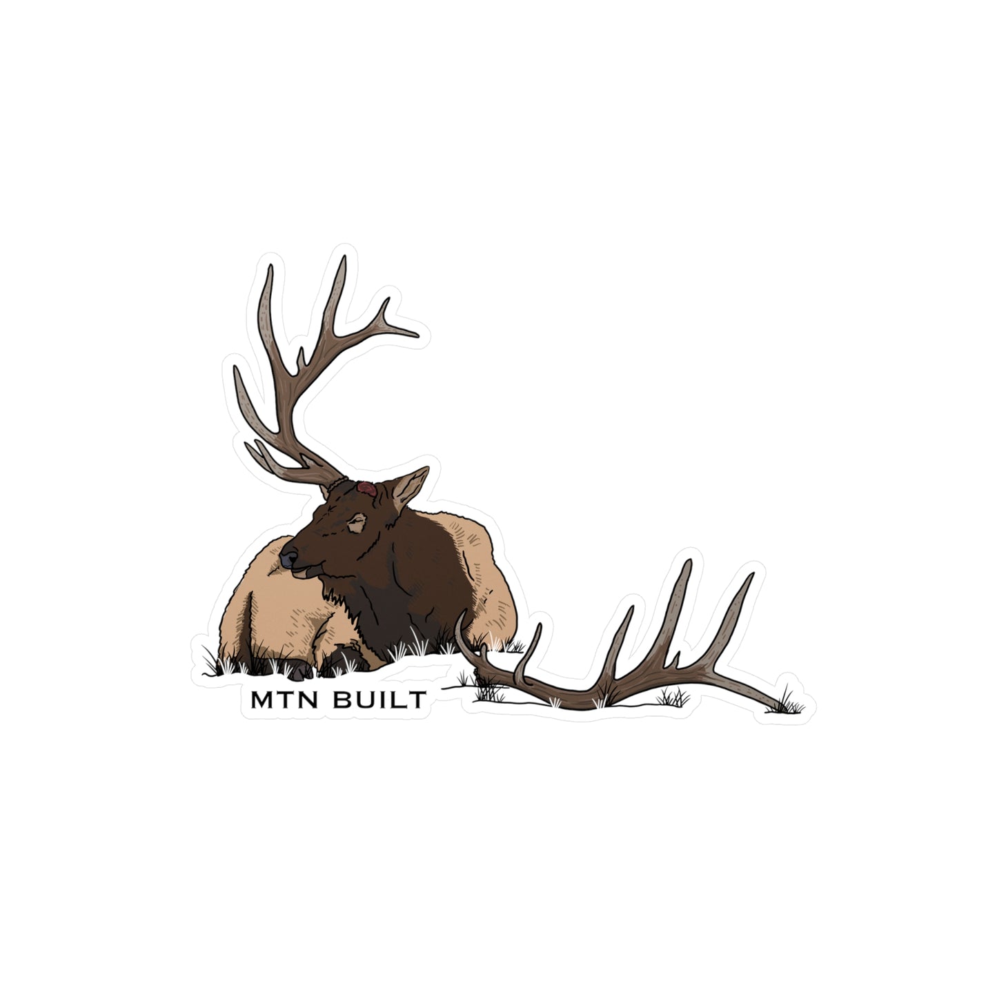 Bull Elk Shed Vinyl Decal | MTN BUILT sticker