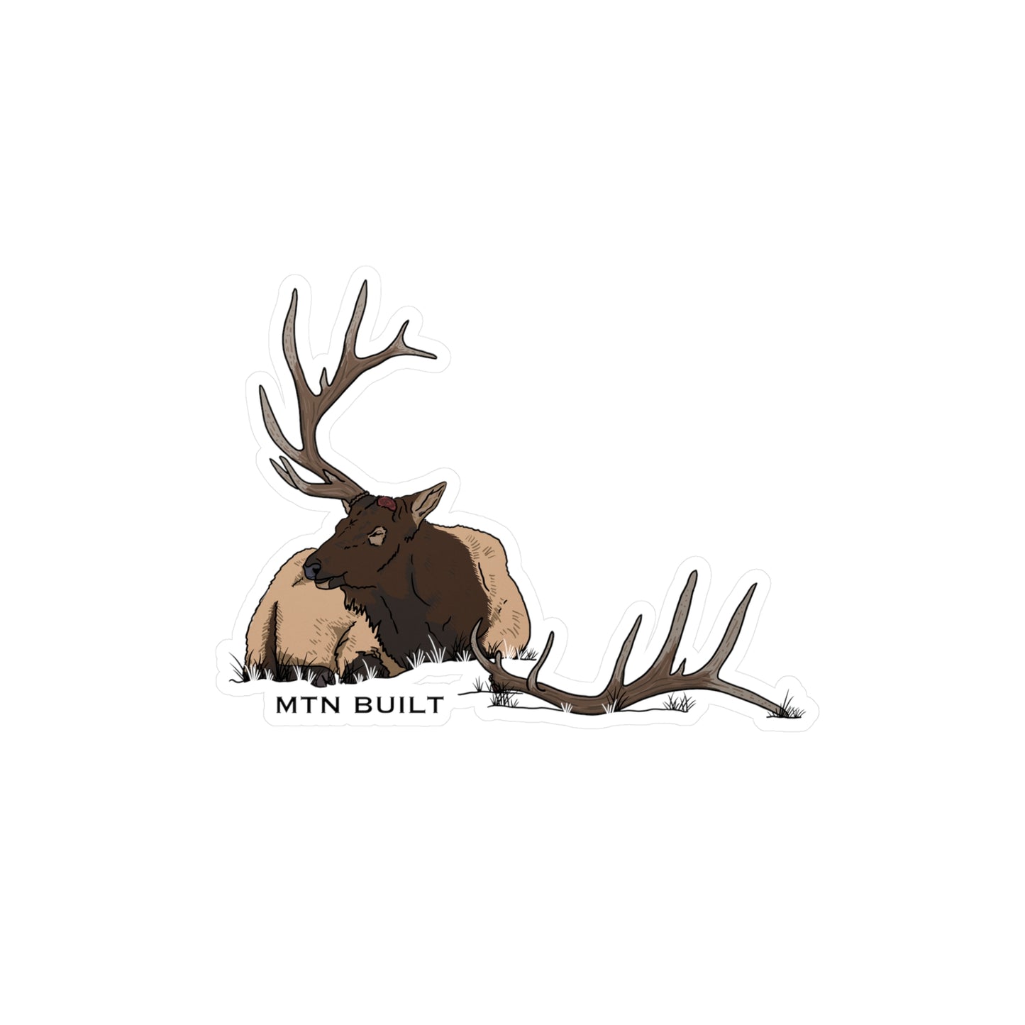 Bull Elk Shed Vinyl Decal | MTN BUILT sticker
