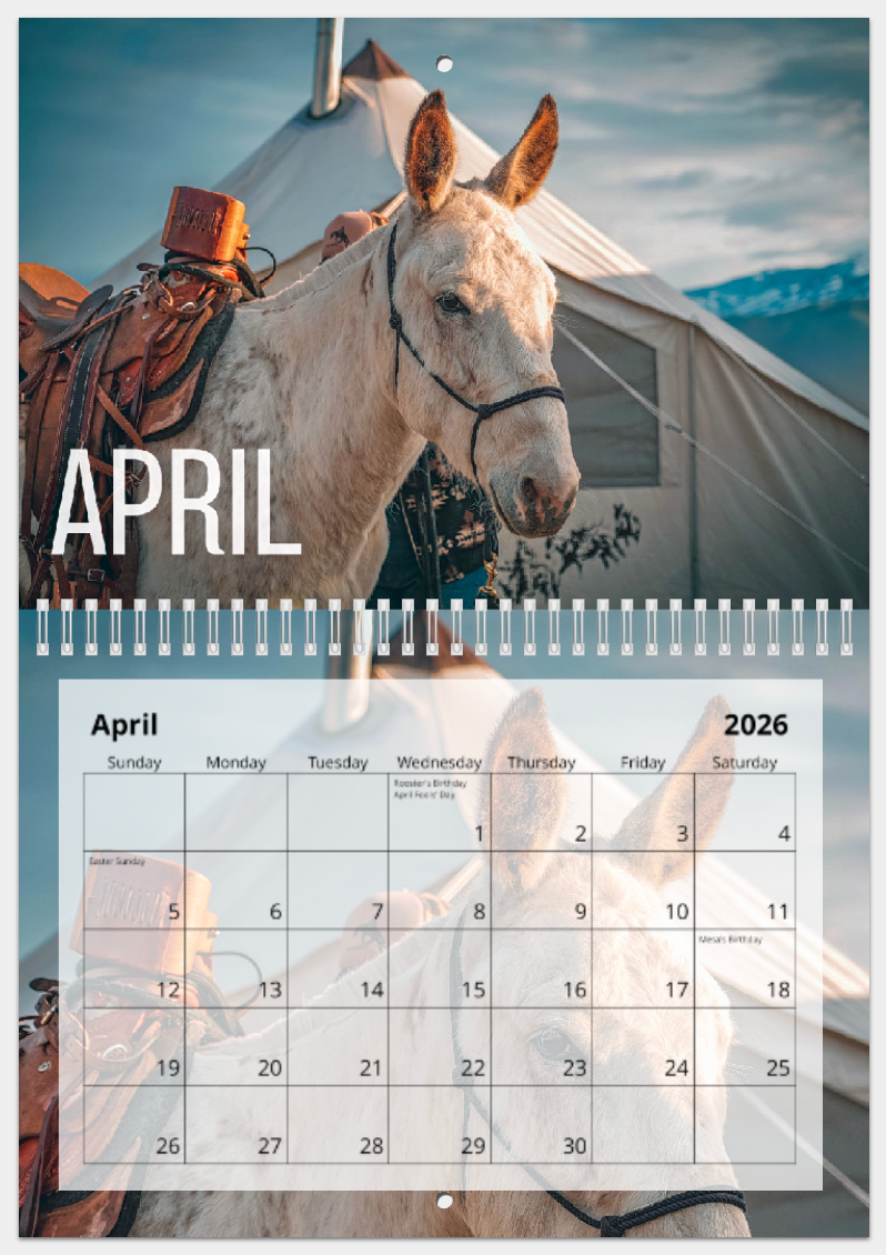 2026 MTN BUILT Calendar