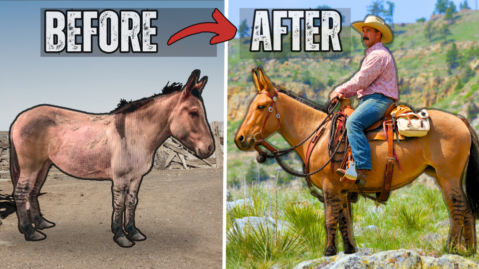 Load video: Watch Reata&#39;s Transformation Here!