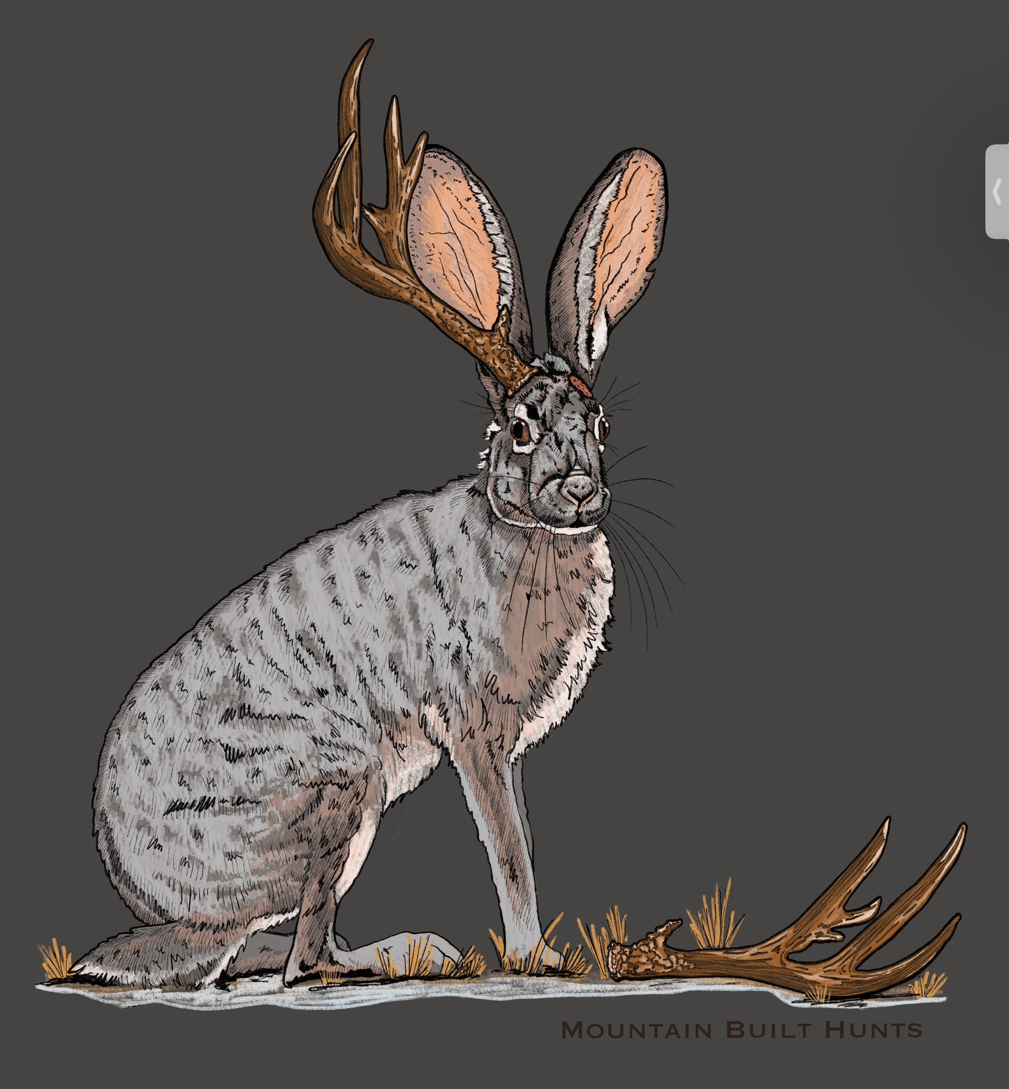 Jackalope (Shed-a-lope) T-Shirt